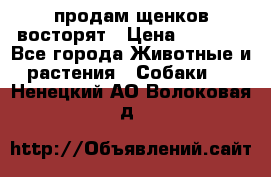 продам щенков восторят › Цена ­ 7 000 - Все города Животные и растения » Собаки   . Ненецкий АО,Волоковая д.